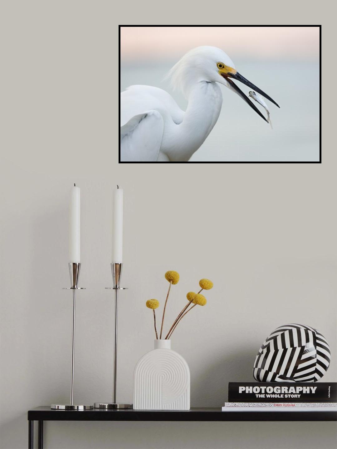 Juggler Poster och Canvastavla