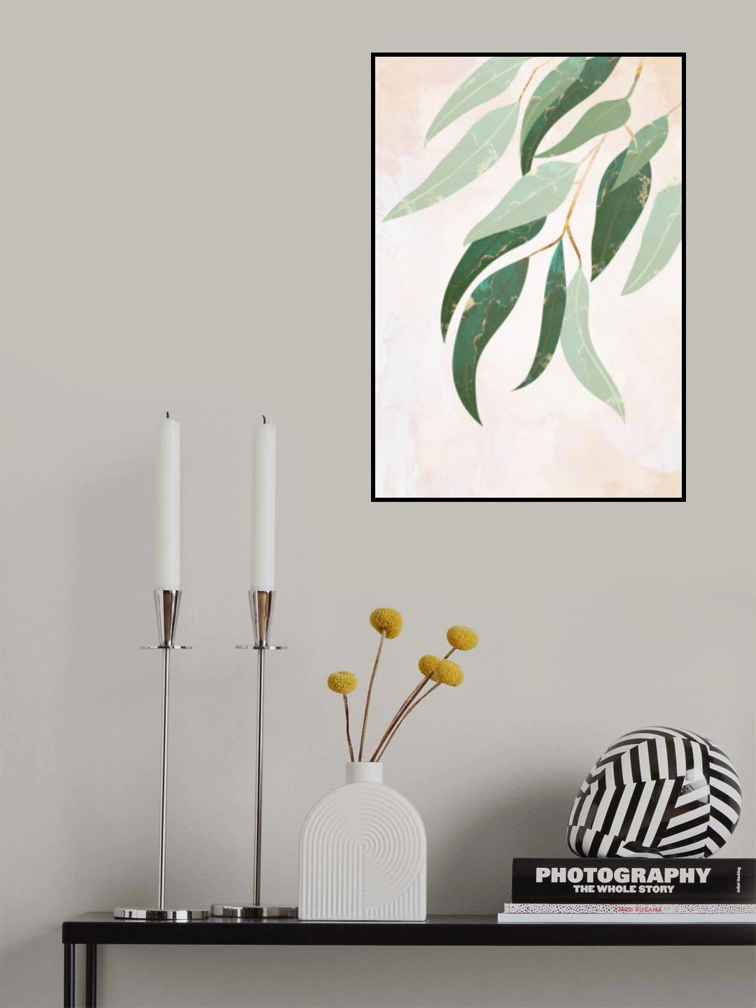 Australian Eucalyptus leaves Poster och Canvastavla