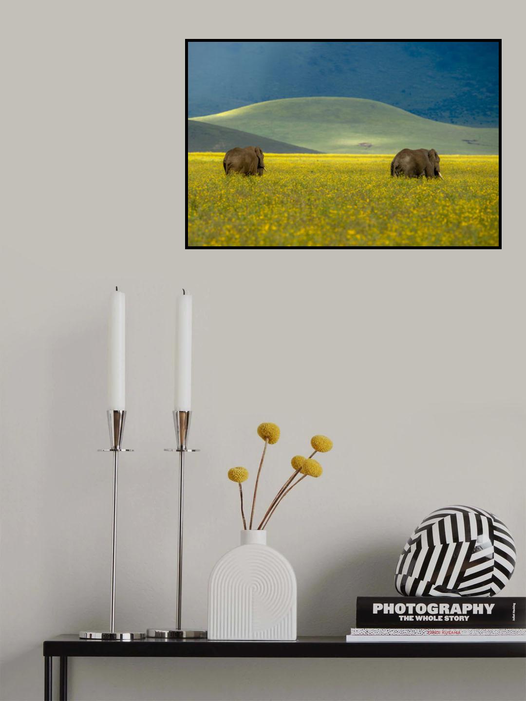 Poster och Canvastavla
