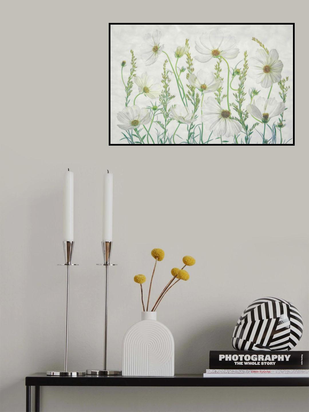 Cosmos Garden Poster och Canvastavla