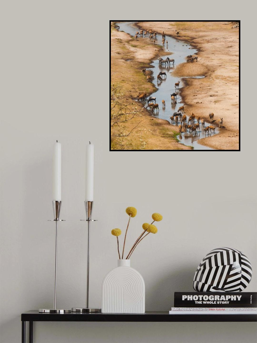 The Tarangire river Poster och Canvastavla