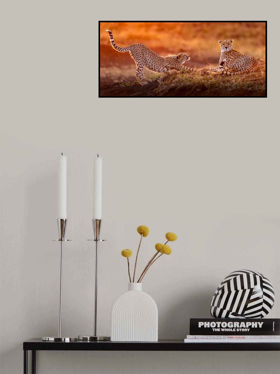 Two cheetahs Poster och Canvastavla