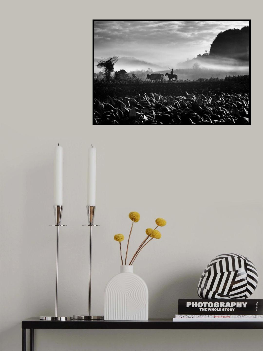 Our way to Cuba Poster och Canvastavla