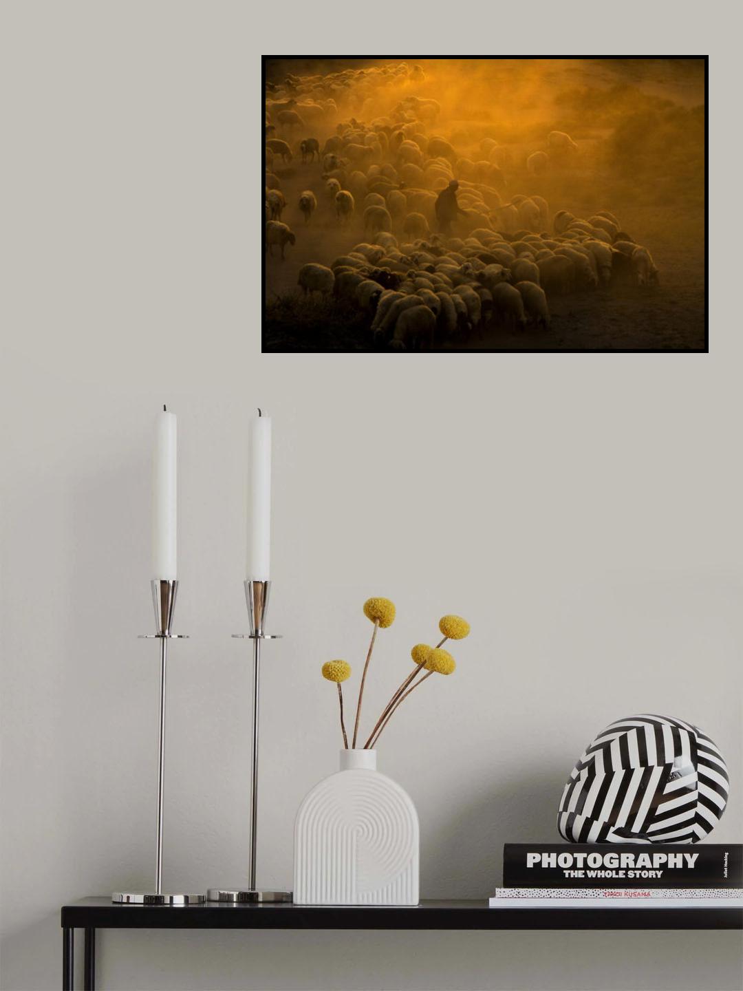 shepherd Poster och Canvastavla
