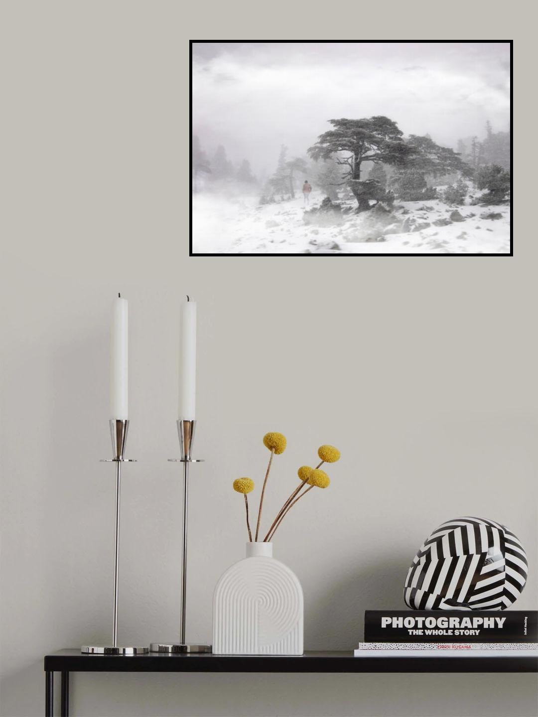alone Poster och Canvastavla