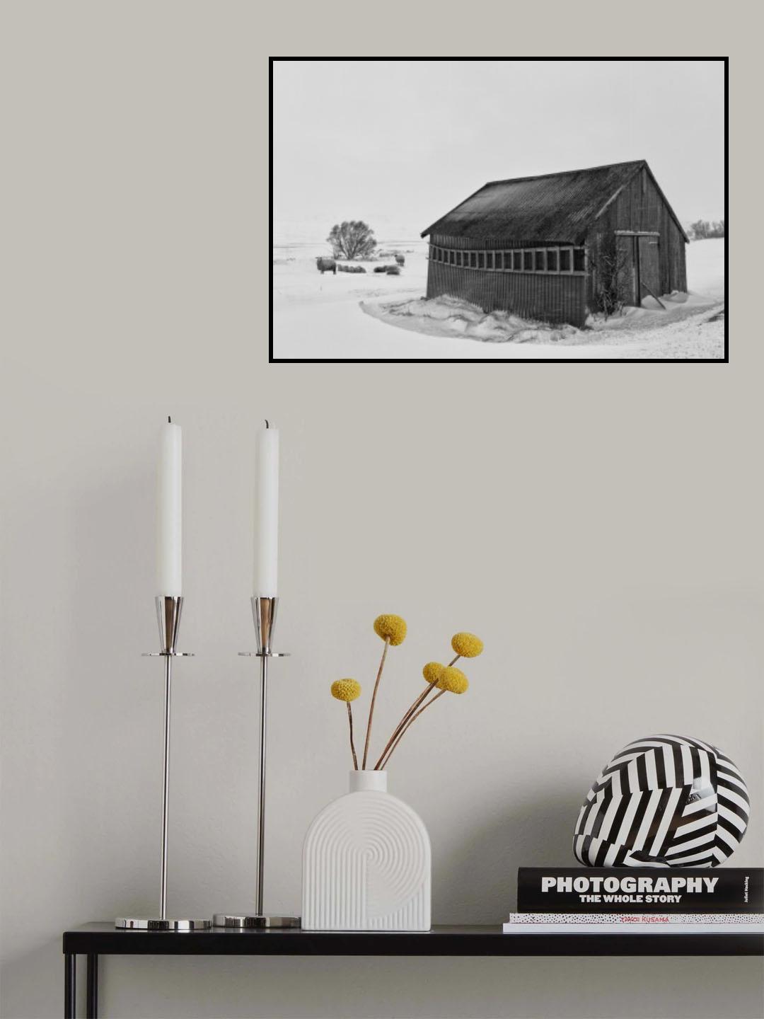 flock Poster och Canvastavla