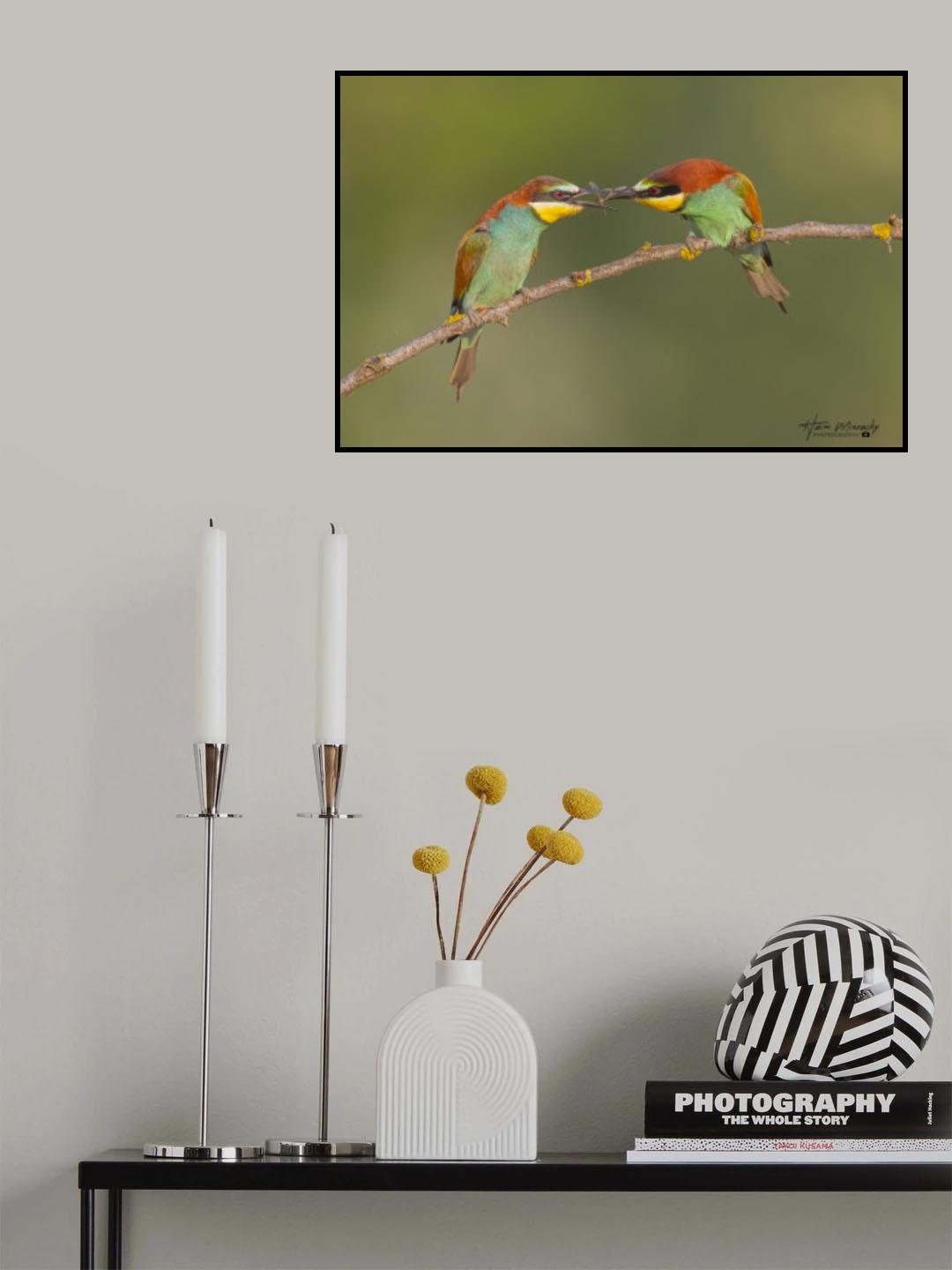BEE-EATERS FEEDING EACH OTHER Poster och Canvastavla