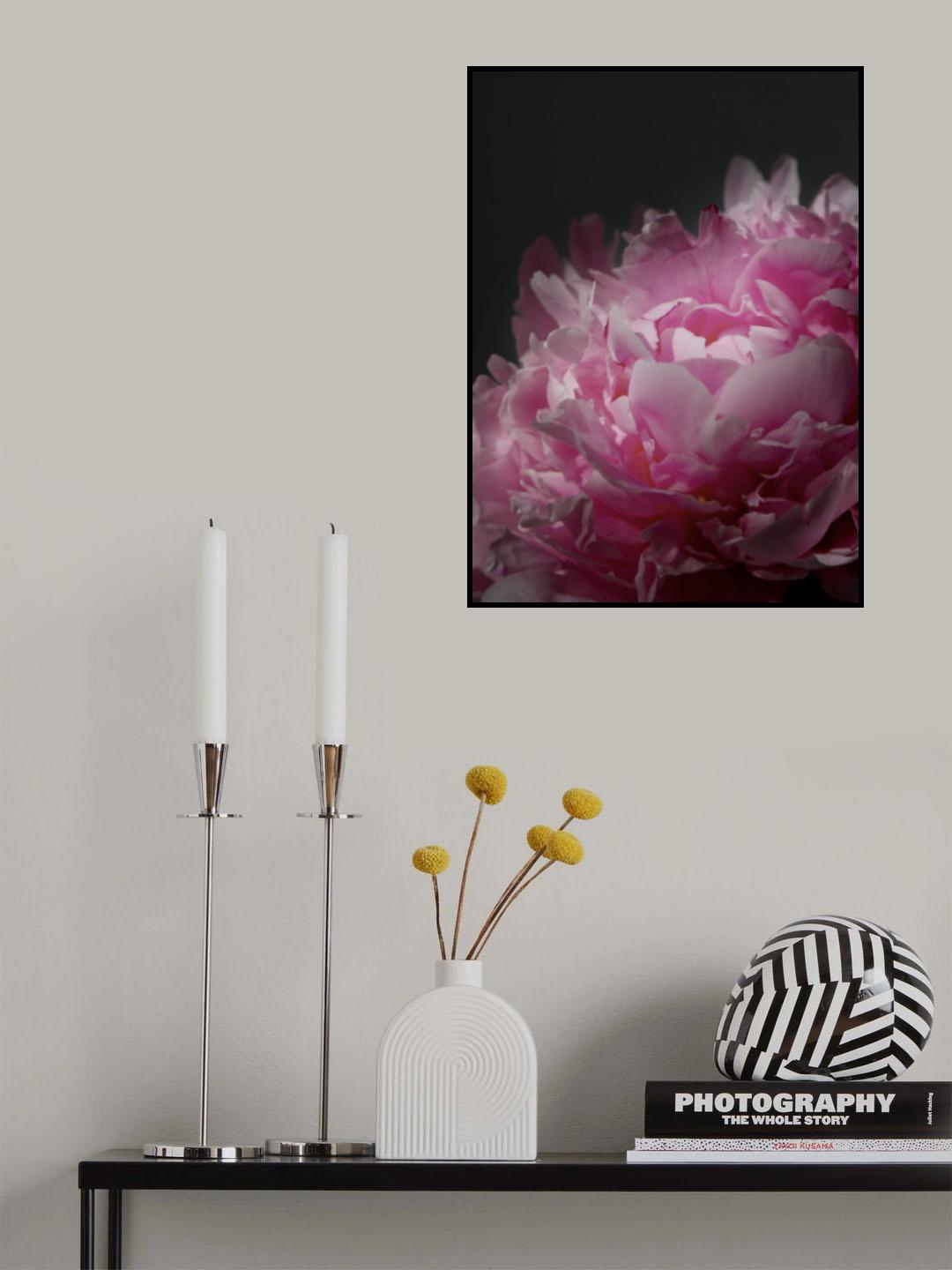 Moody pink peony I Poster och Canvastavla