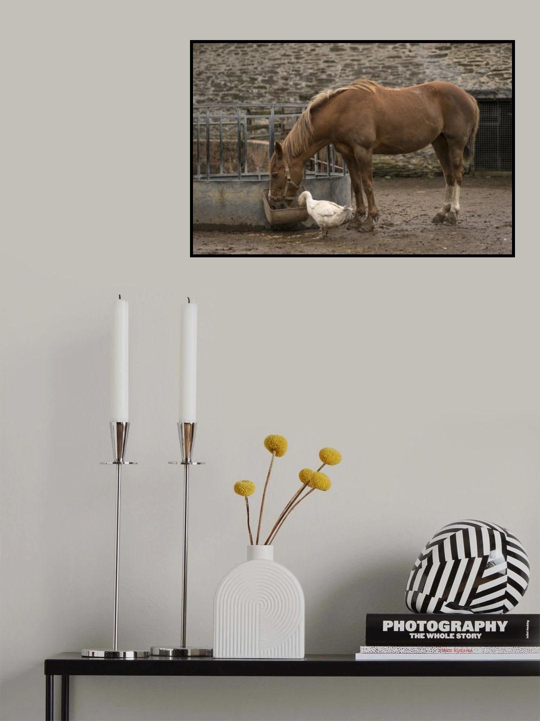 Sharing Lunch Poster och Canvastavla