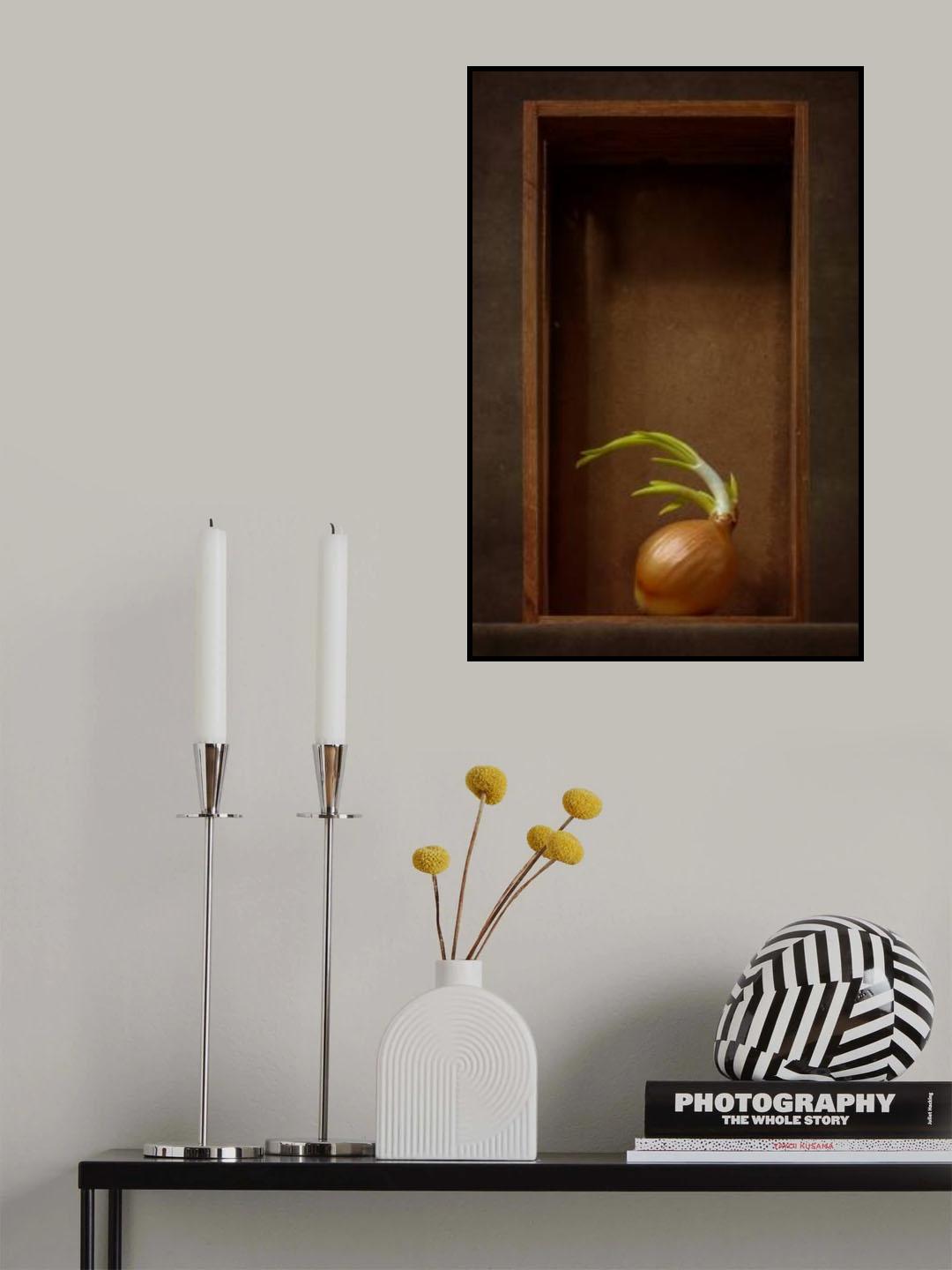 Onion Poster och Canvastavla