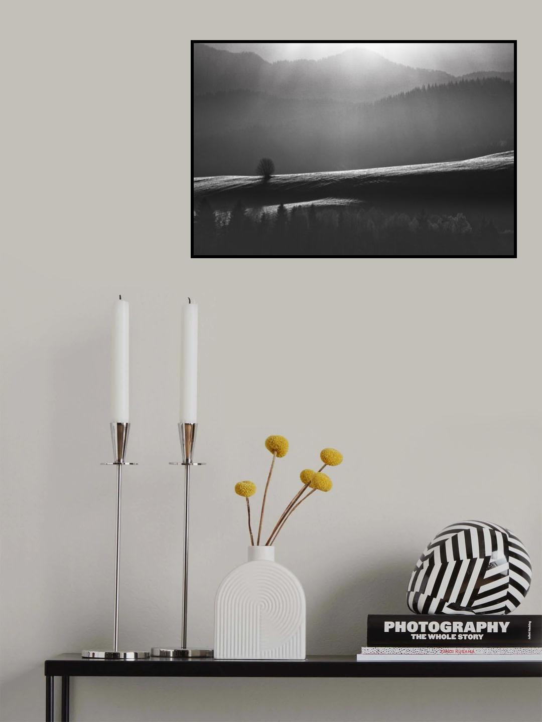Lonely Tree Poster och Canvastavla