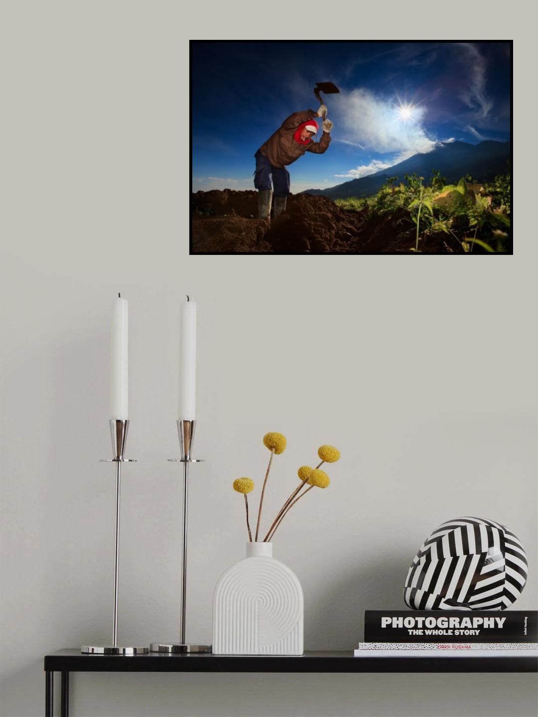 Indonesian Farmer Poster och Canvastavla