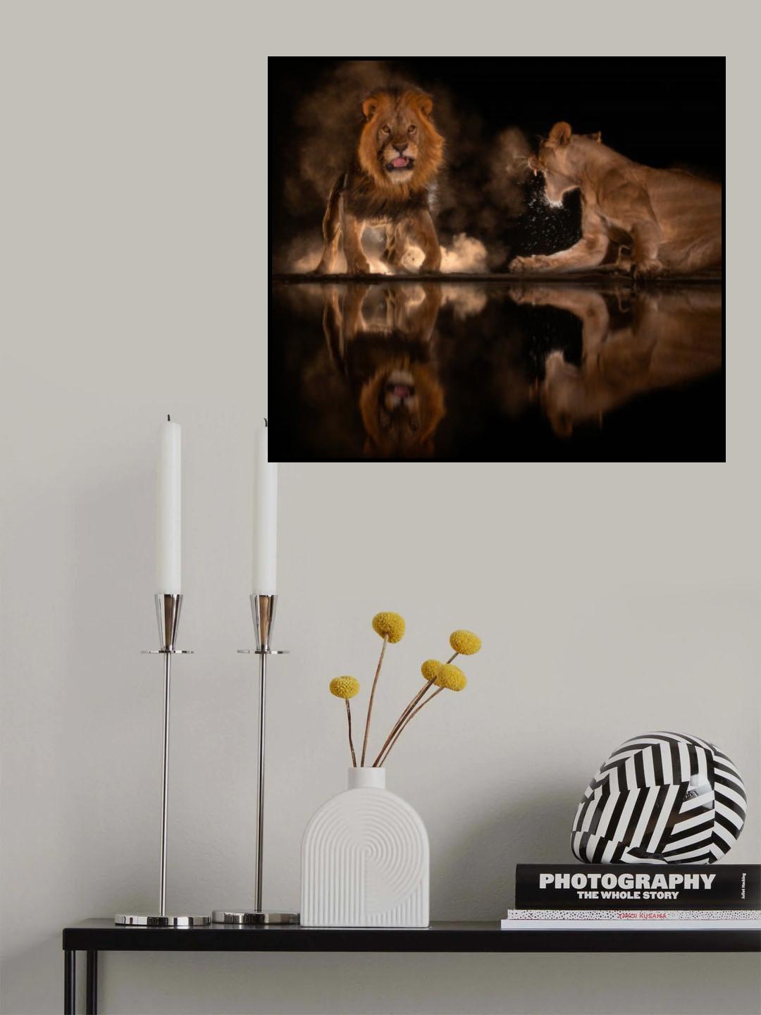 Fighting Poster och Canvastavla