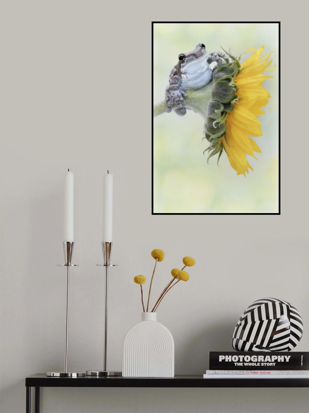 Frog Sunshine Poster och Canvastavla
