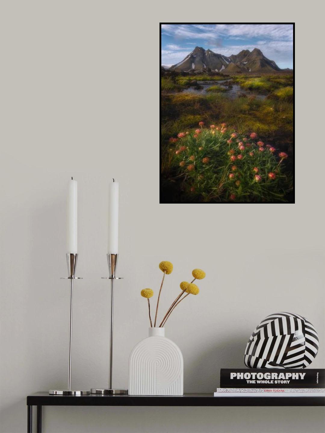 The Highlands of Iceland Poster och Canvastavla