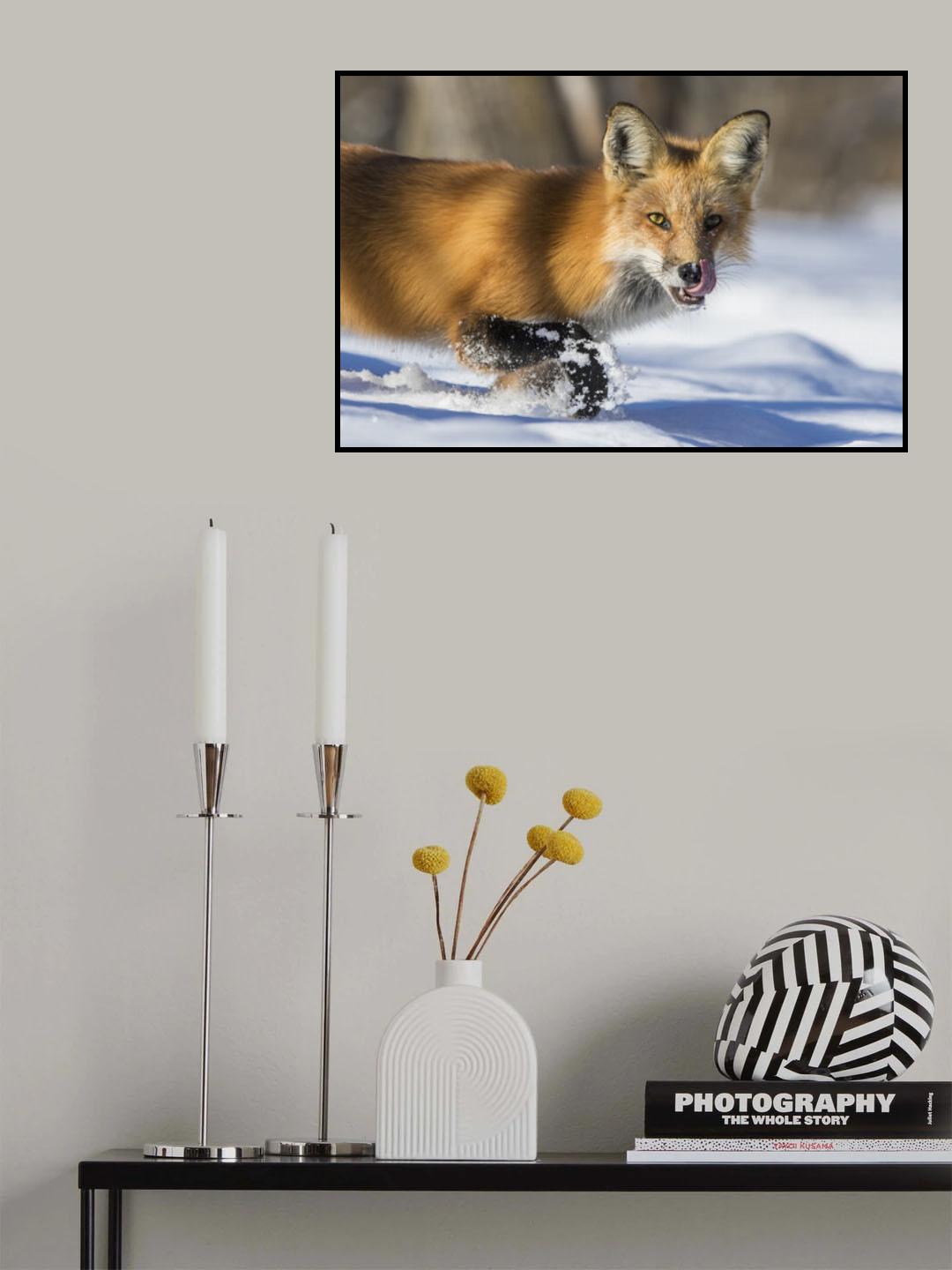 Fox Hunting in winter Poster och Canvastavla