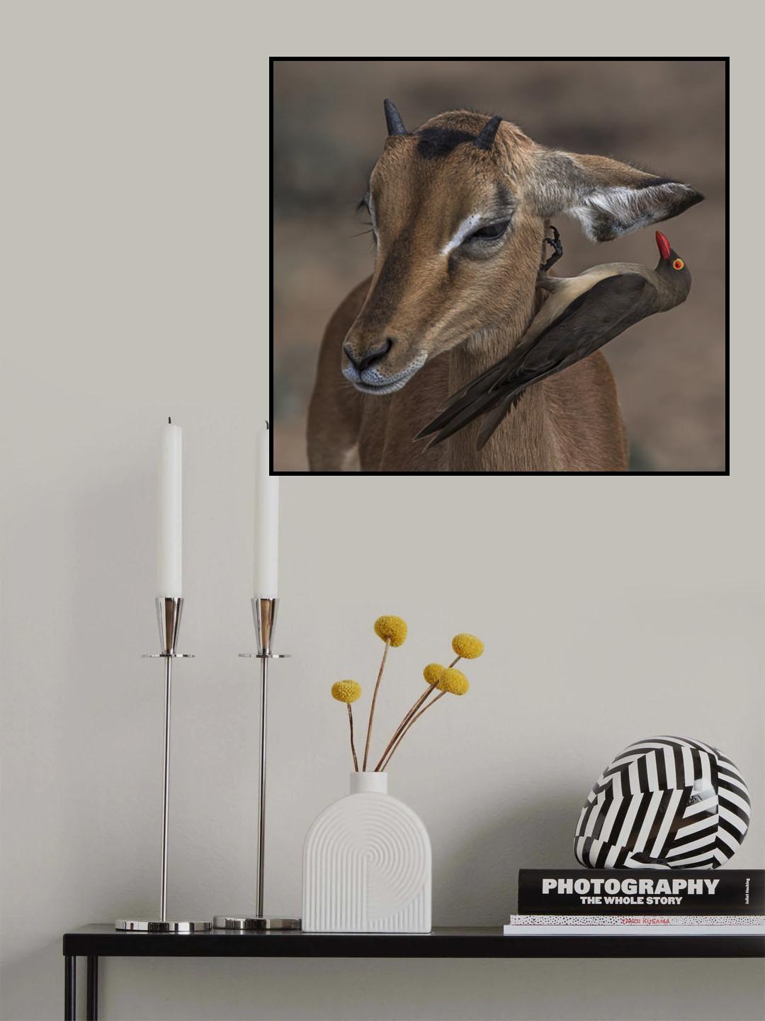 A Word in Your Ear Poster och Canvastavla