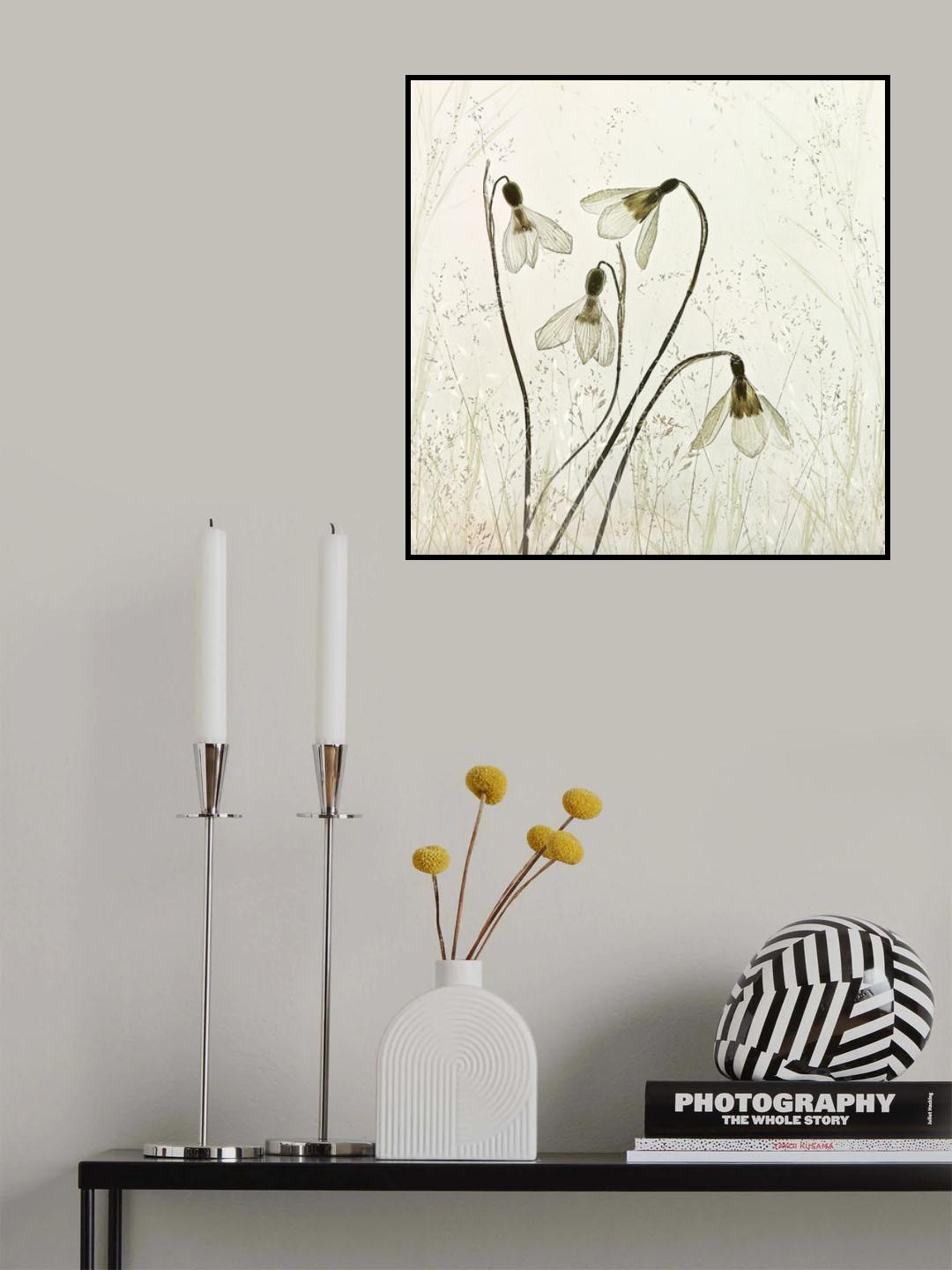 Springtime! Poster och Canvastavla