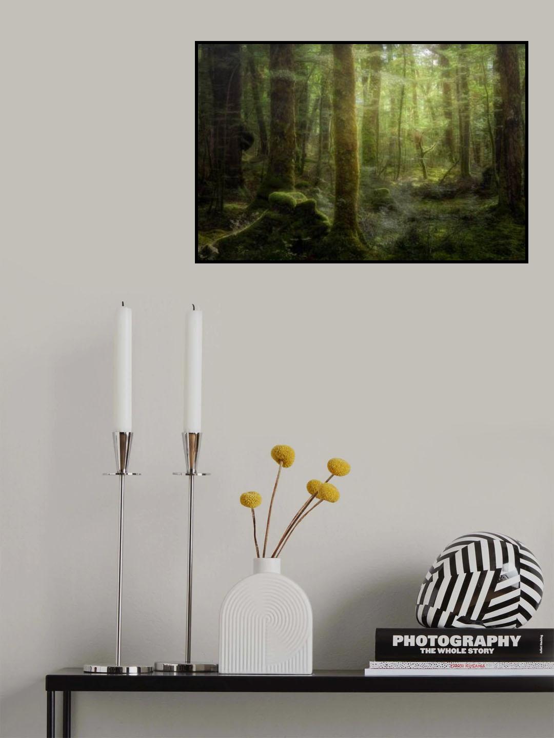 Beech Forest Poster och Canvastavla