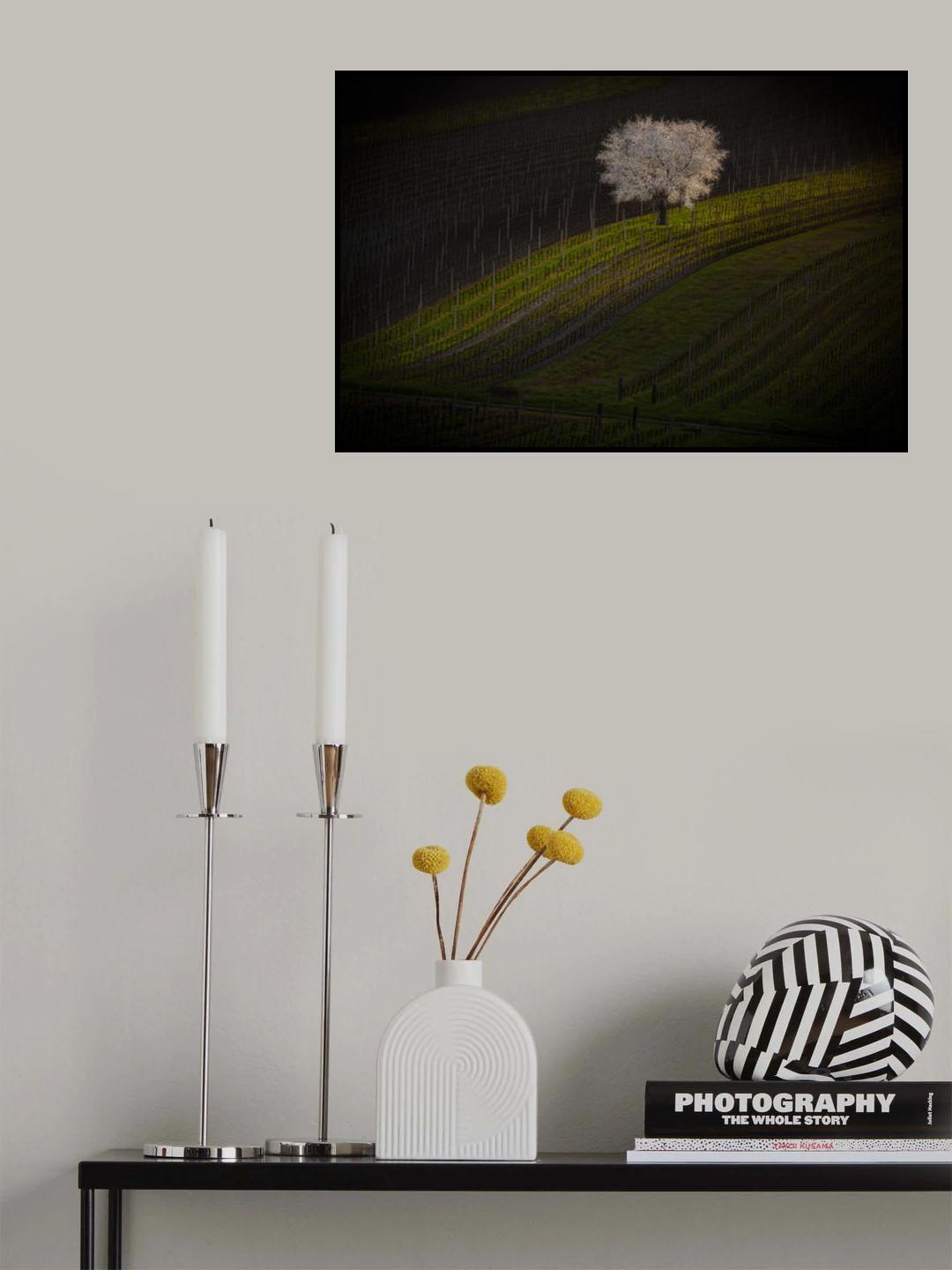 Moravia Poster och Canvastavla