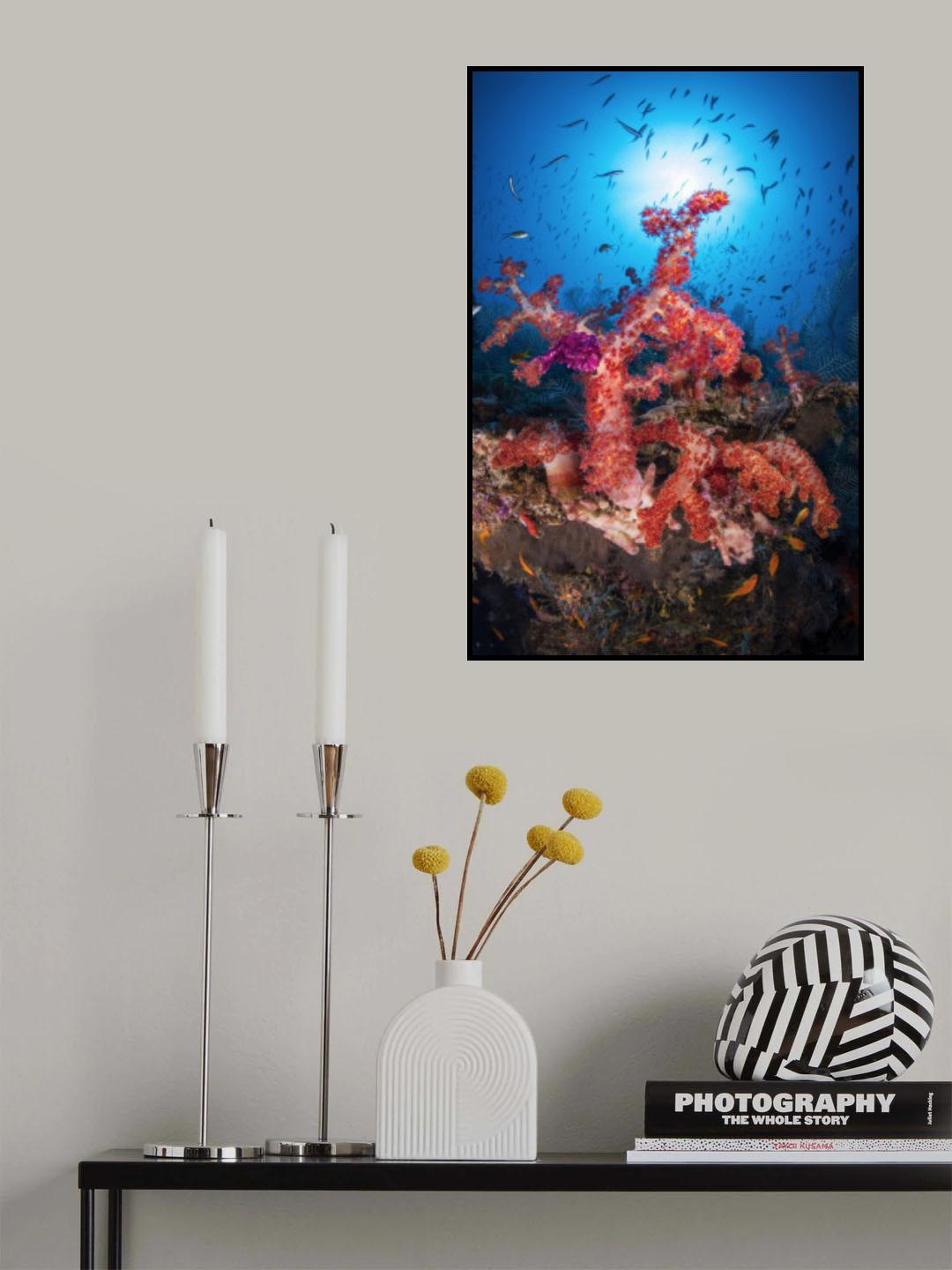 The Alcionaire of Christmas Poster och Canvastavla