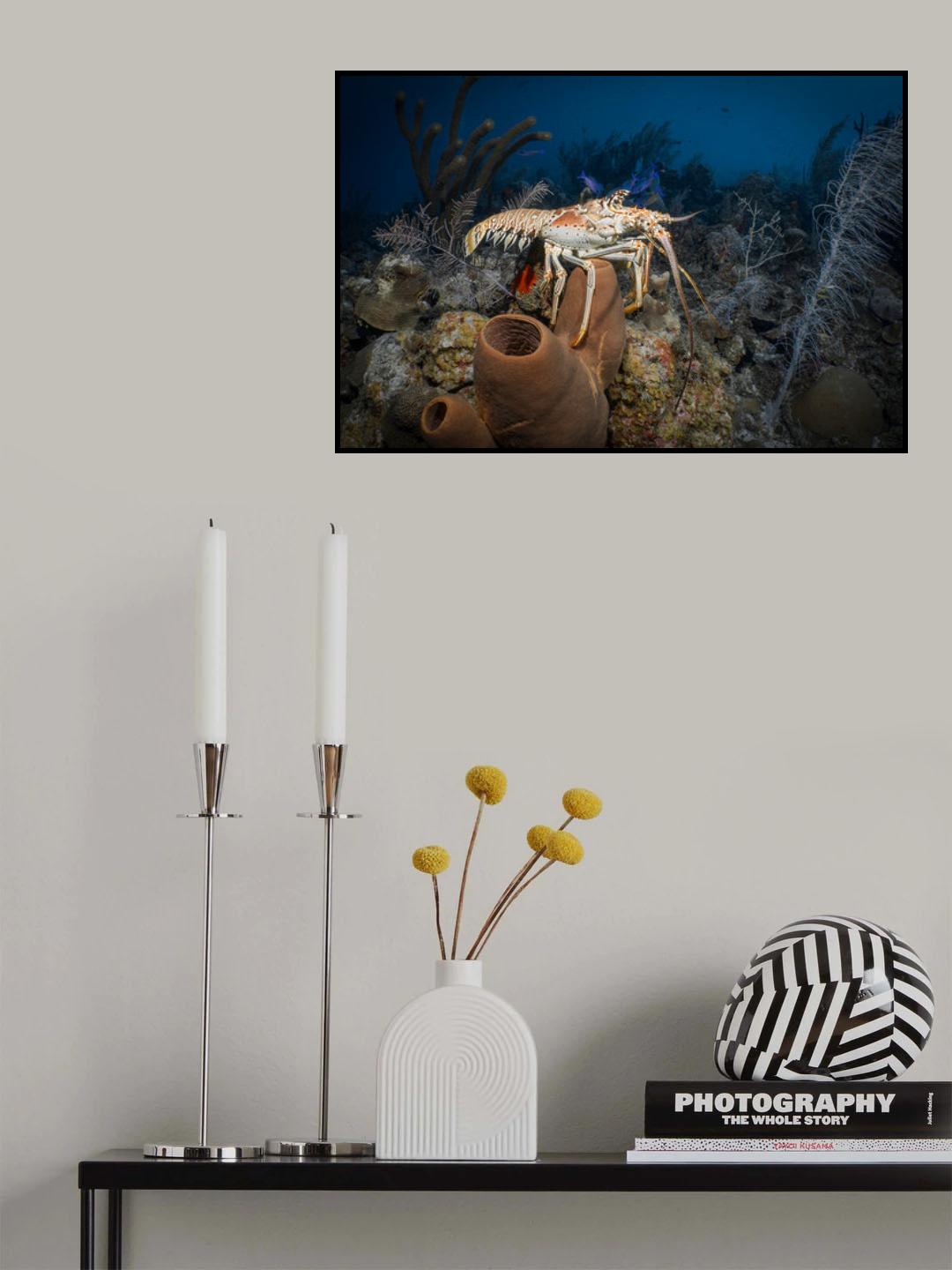 A little hike Poster och Canvastavla