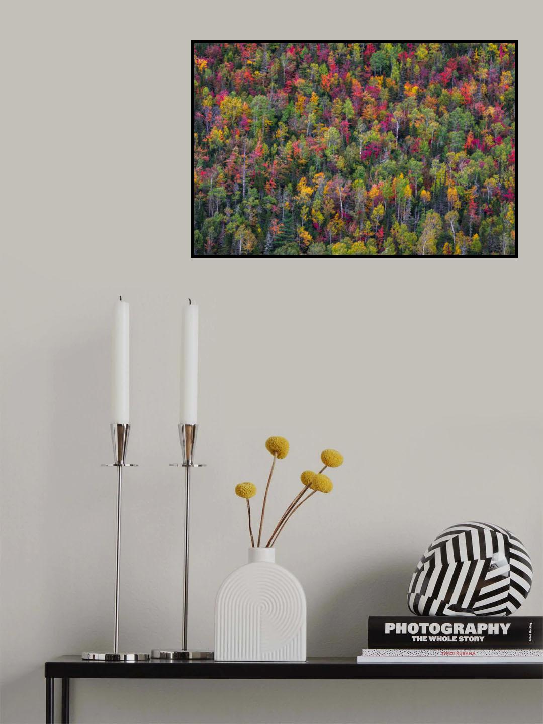 Color palette Poster och Canvastavla