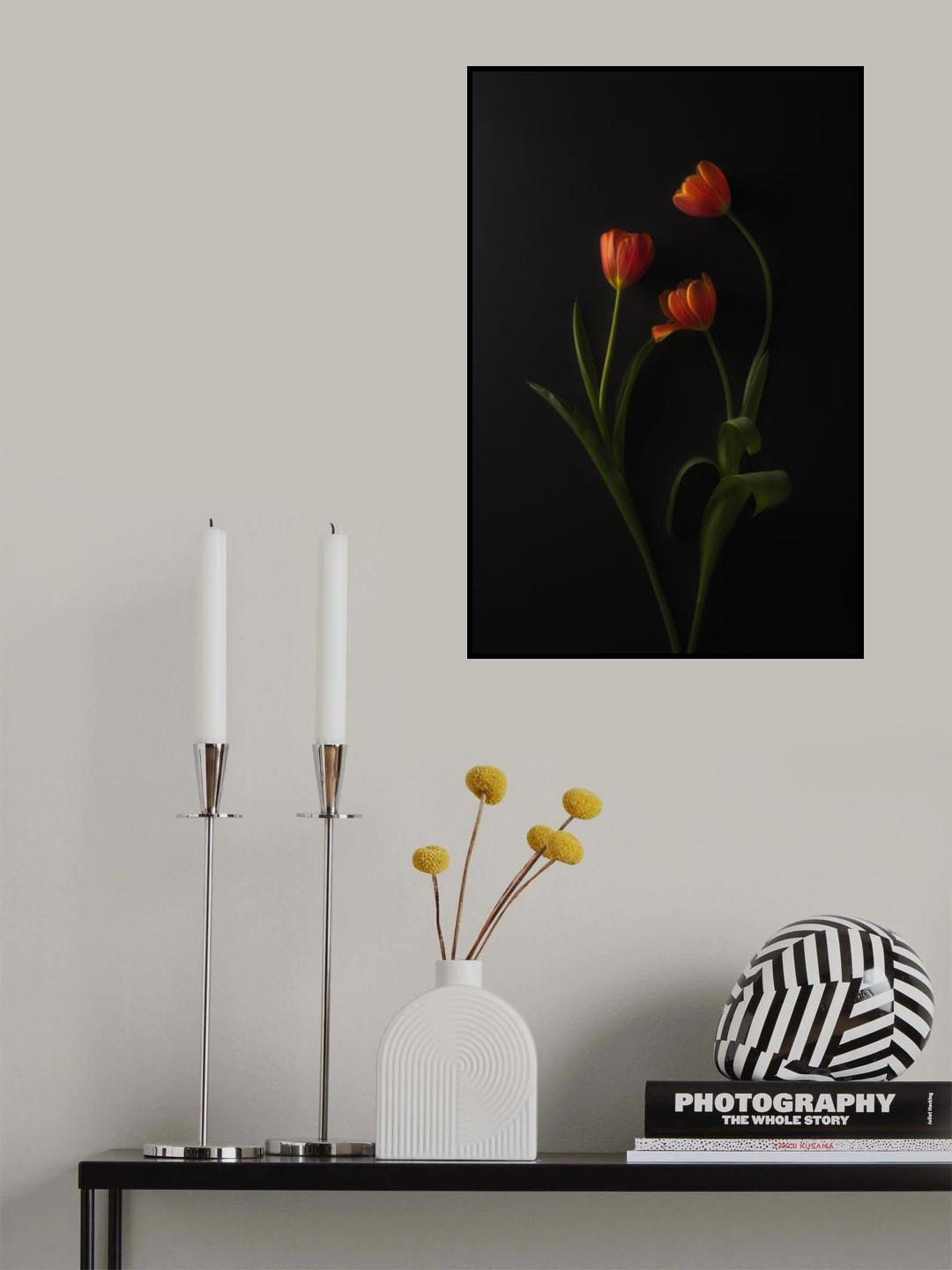 Three Tulips Poster och Canvastavla