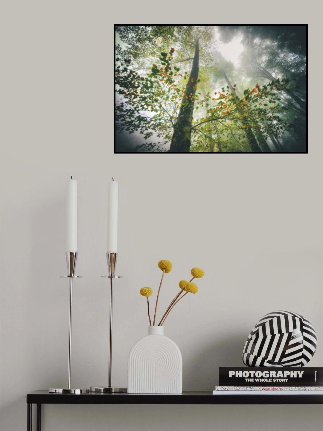 The breath of the forest Poster och Canvastavla