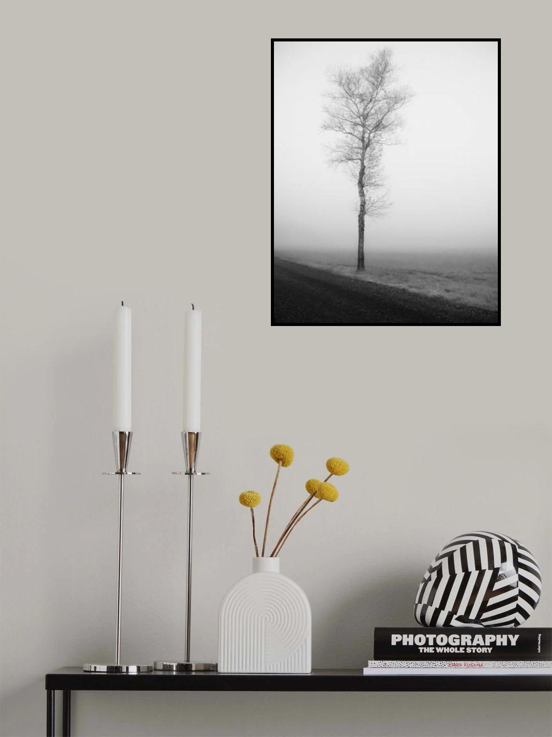lonely tree Poster och Canvastavla