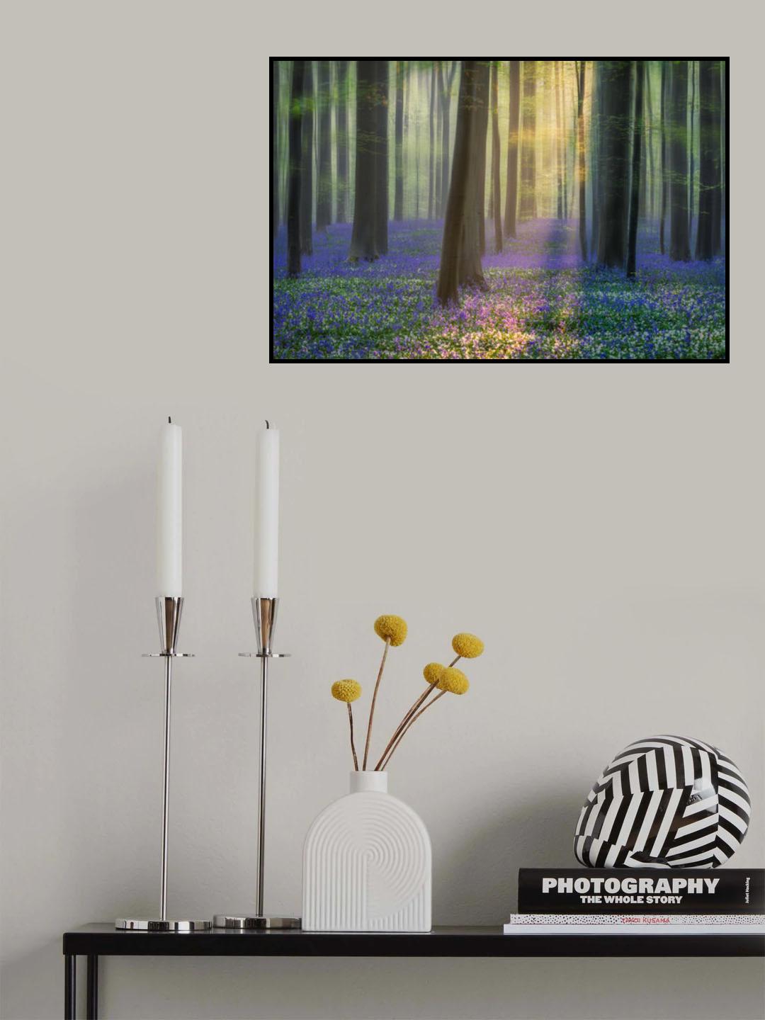 Daydreaming of Bluebells Poster och Canvastavla