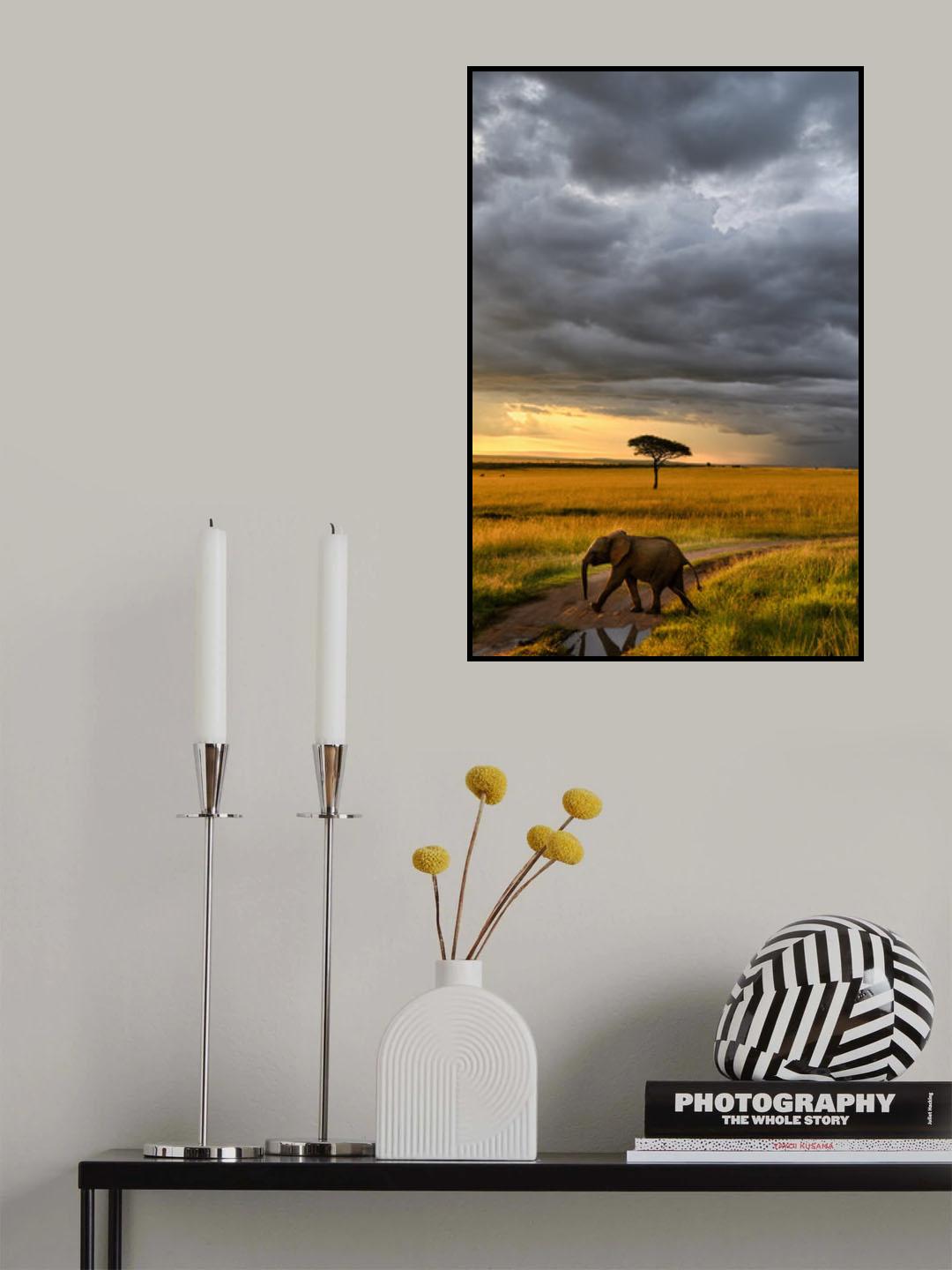 Sunset in Masai Mara Poster och Canvastavla