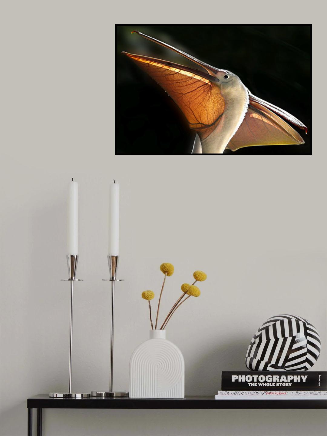 Pelican Poster och Canvastavla