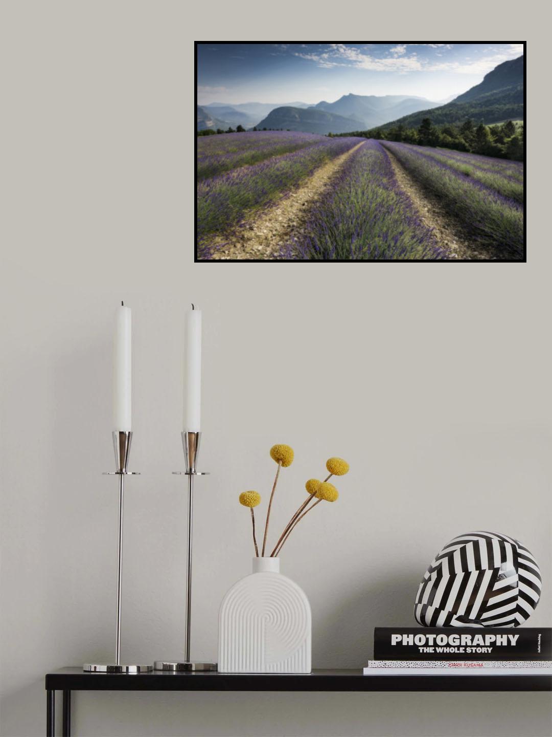 Lavender Hills Poster och Canvastavla