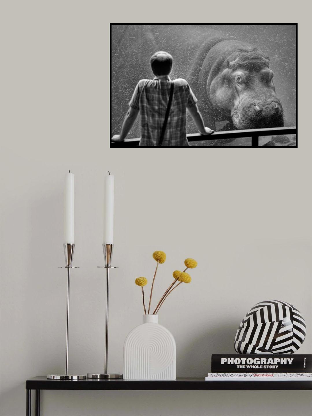 Observed Poster och Canvastavla