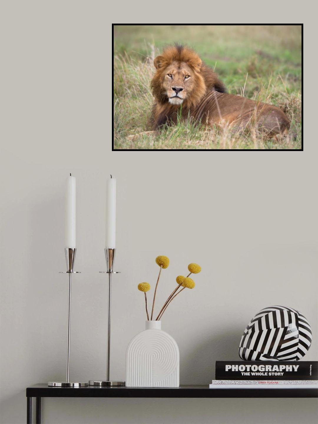 The King Poster och Canvastavla