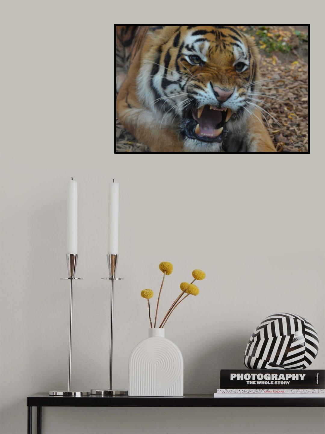 Rage Poster och Canvastavla