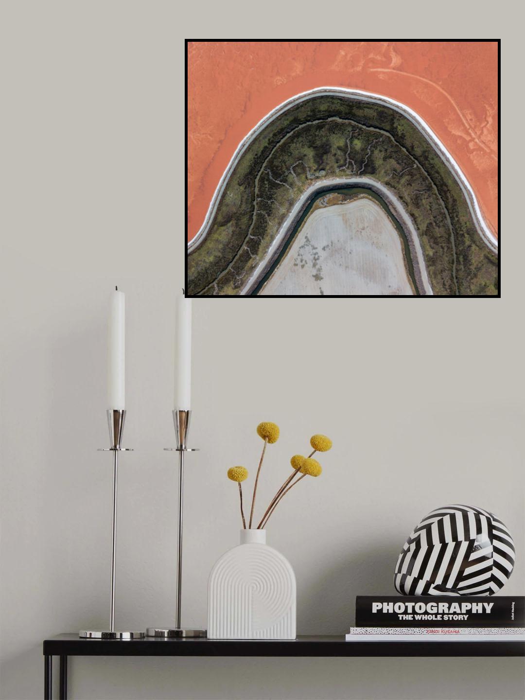 Topographic projection Poster och Canvastavla