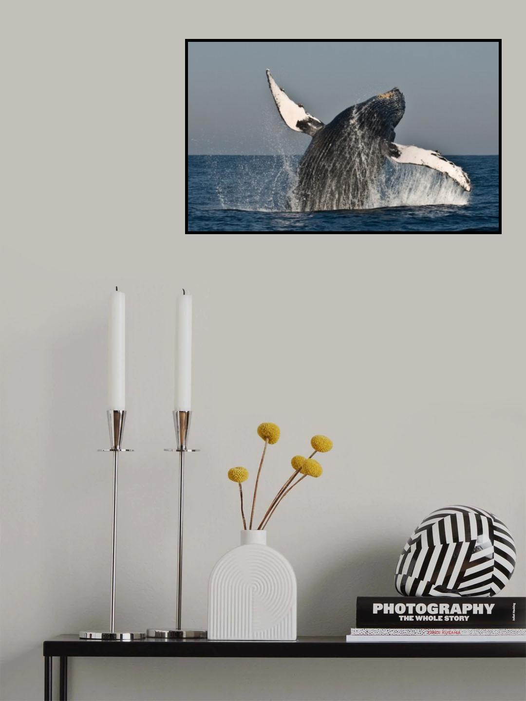 Flip of a Humpback Whale Poster och Canvastavla