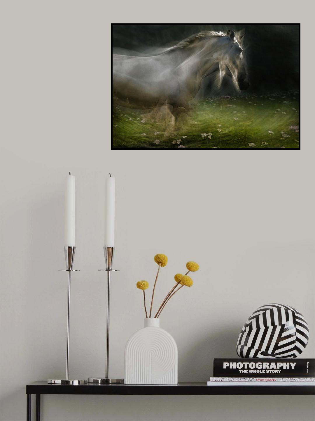 Lipizzaner Poster och Canvastavla