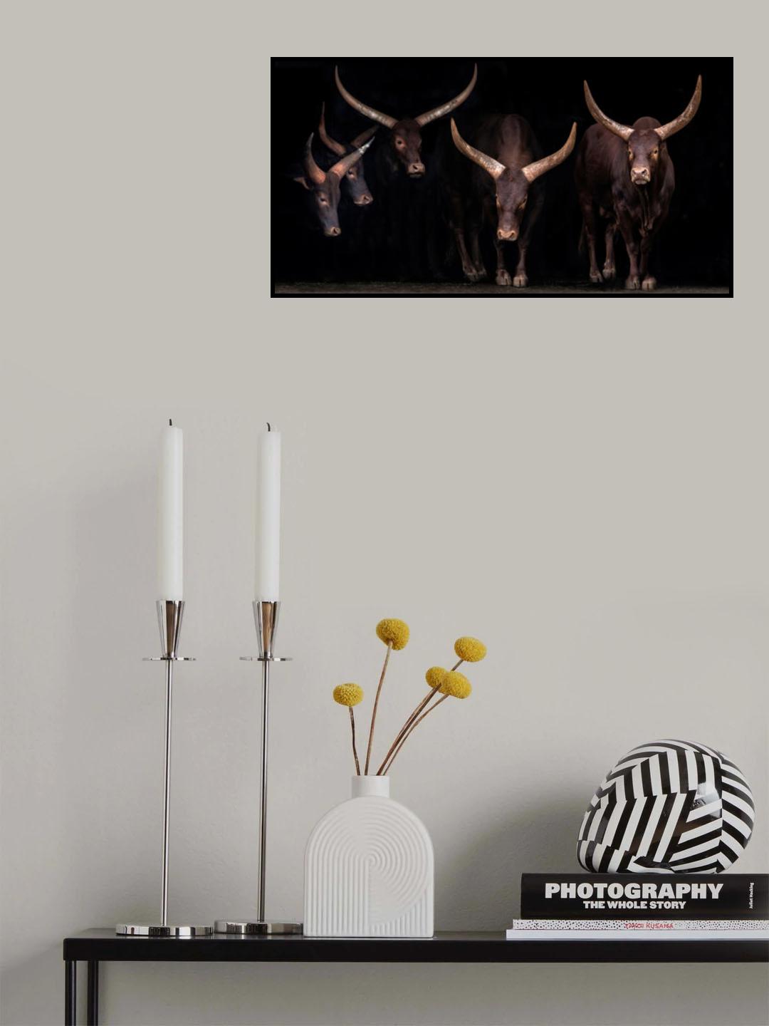 Watusi family Poster och Canvastavla