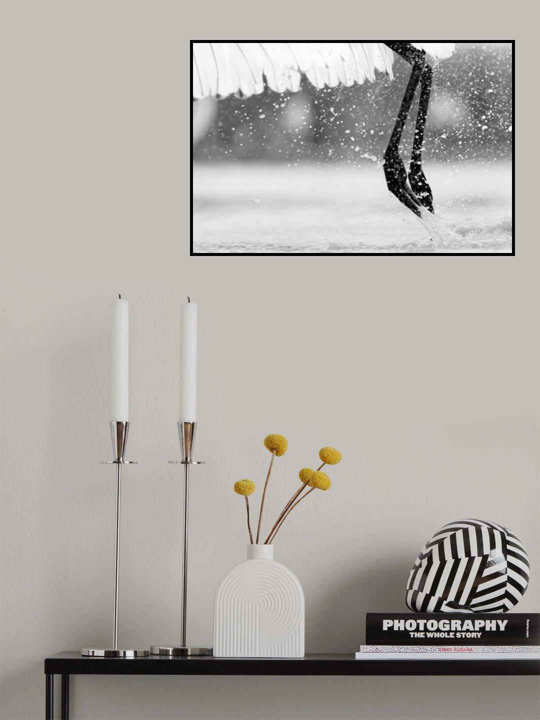 Taking Off Poster och Canvastavla