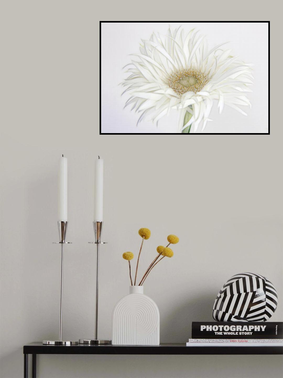 Frivolous Flower Poster och Canvastavla