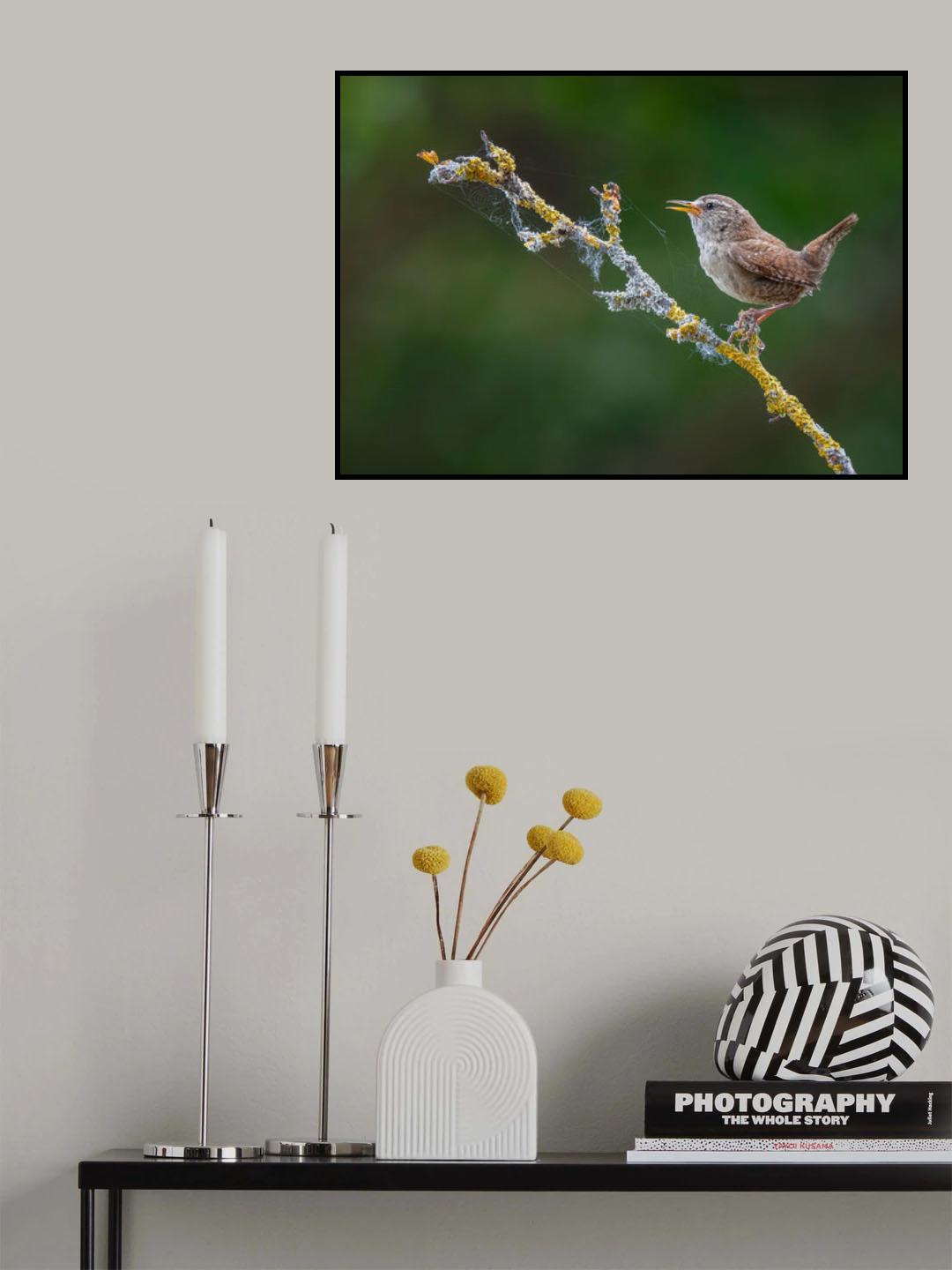 The morning Wren Poster och Canvastavla