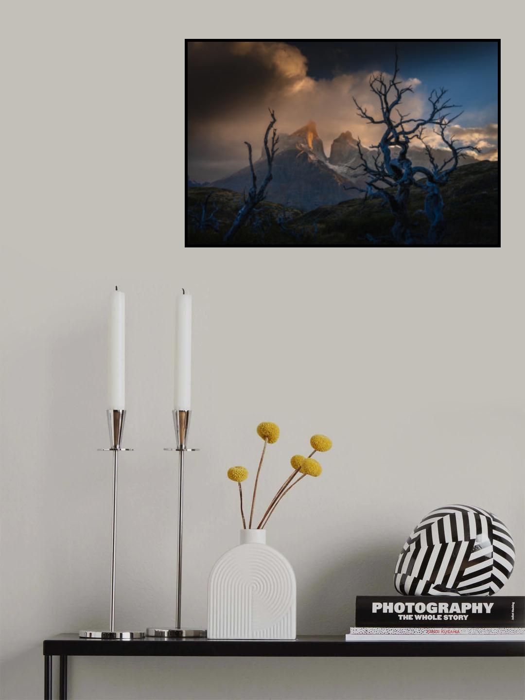 Embrace Poster och Canvastavla