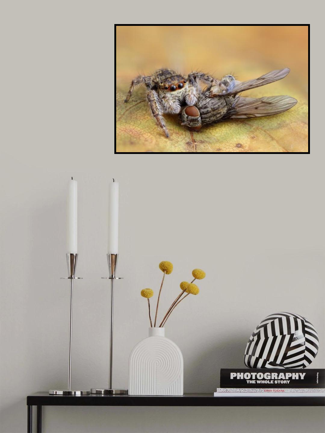 Spider 1 - Fly 0 Poster och Canvastavla