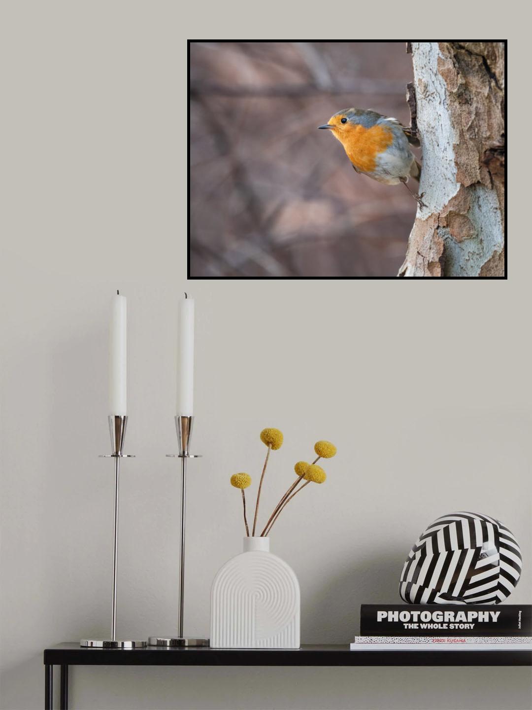 Not a nuthatch... Poster och Canvastavla