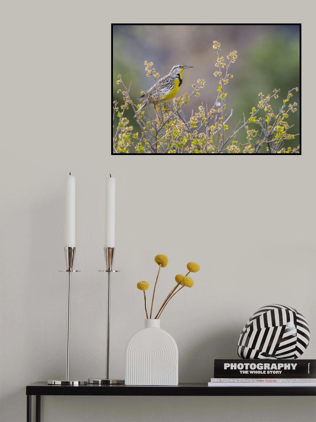 Happy Spring Poster och Canvastavla