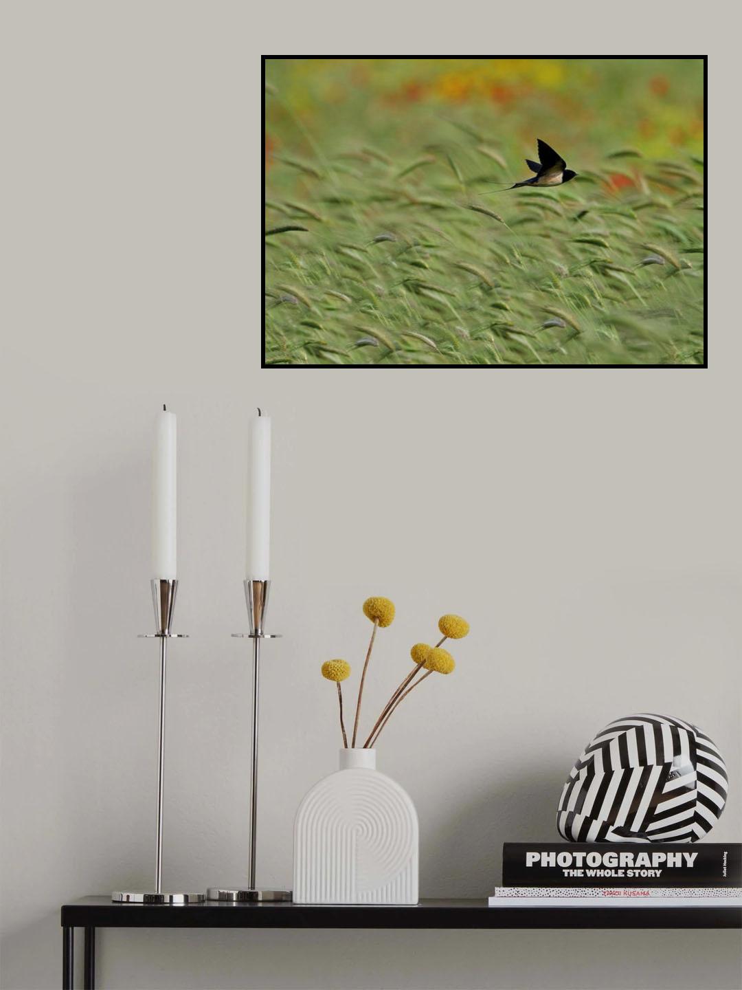 my freedom flying Poster och Canvastavla