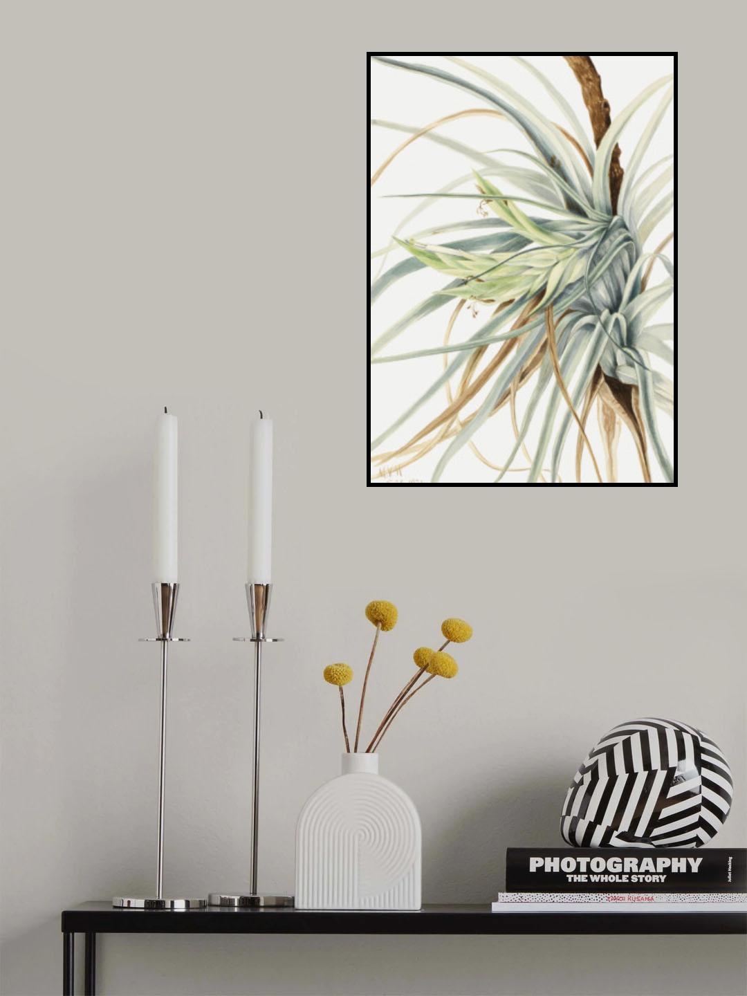 Wild Pineapple (1921) Poster och Canvastavla